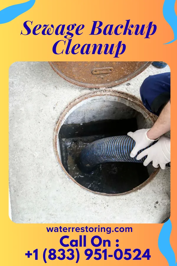 Sewage Backup Cleanup in Storm Lake, IA